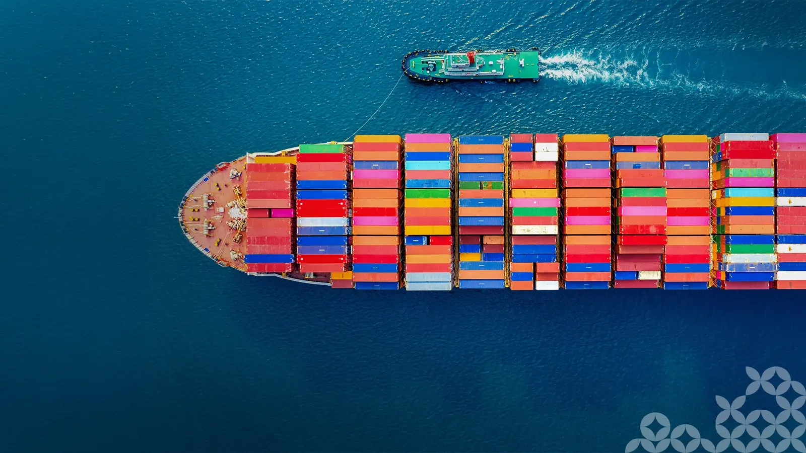 Export Strategy Dialogue: Harvesting Opportunities: Navigating the New Era of FTA's in the Global Food Supply Chain
