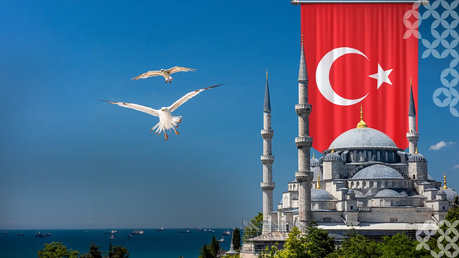 Focus Market Briefing: Turkey